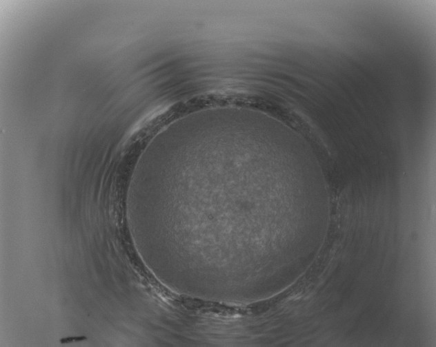 X0000077360919200610271850