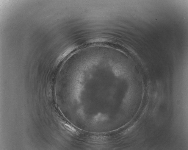 X0000077360921200610271850