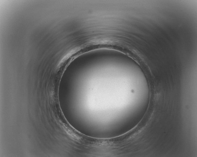 X0000077360922200610271850