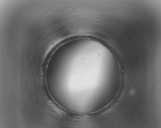 X0000077360926200610271850