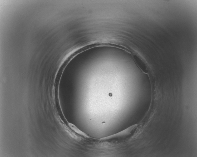 X0000077360932200610271850