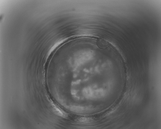 X0000077360933200610271850