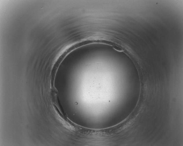 X0000077360934200610271850