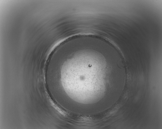 X0000077360935200610271850