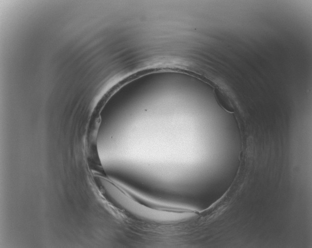 X0000077360936200610271850