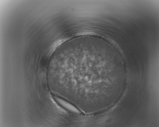 X0000077360937200610271850