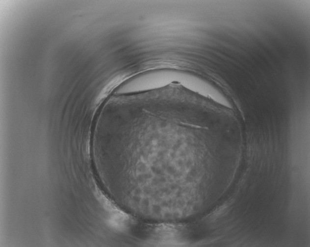 X0000077360938200610271850