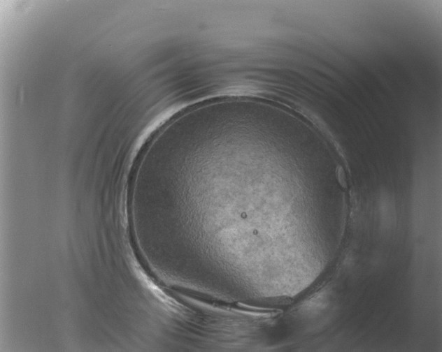 X0000077360939200610271850