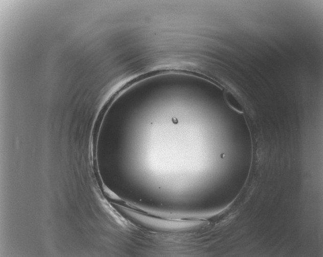 X0000077360940200610271850