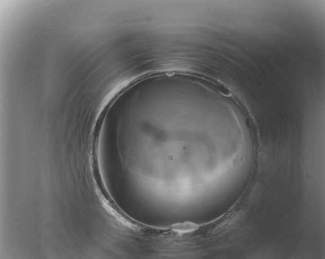 X0000077360941200610271850