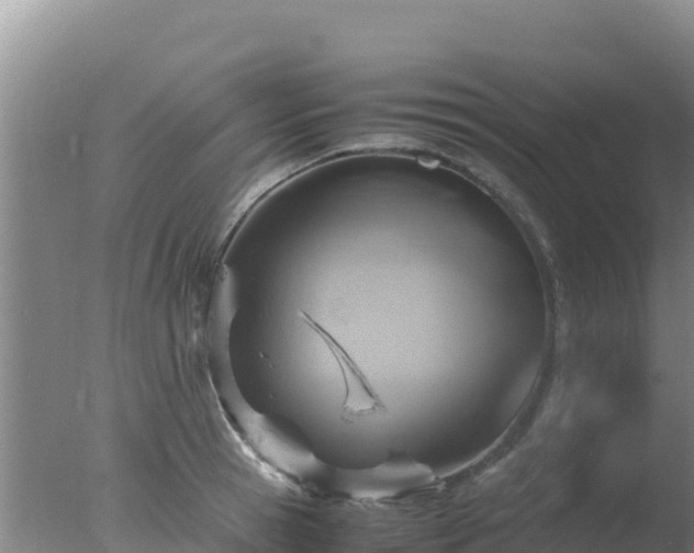 X0000077360945200610271850