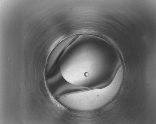 X0000077360946200610271850