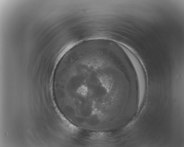 X0000077360949200610271851