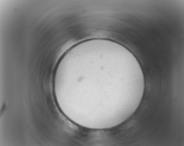 X0000077360950200610271851