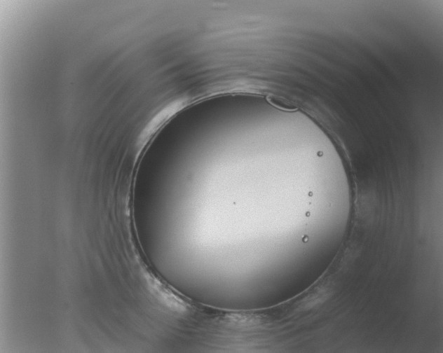 X0000077360954200610271851