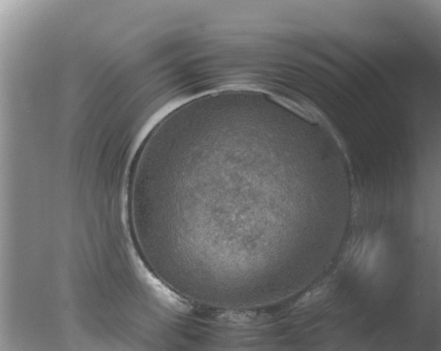 X0000077360955200610271851