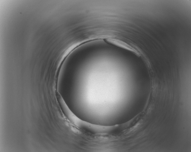 X0000077360956200610271851