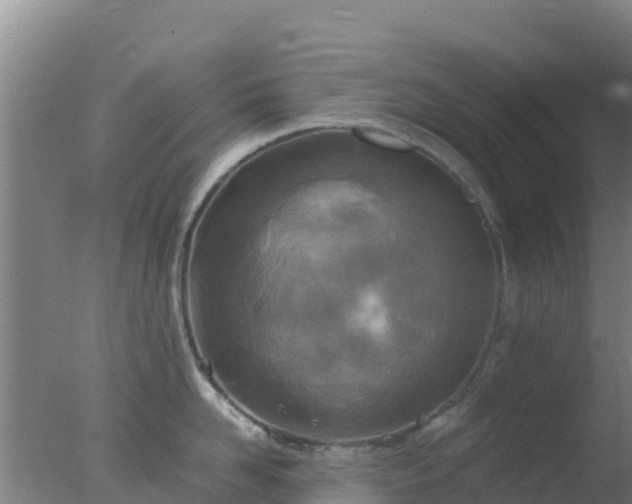 X0000077360958200610271851