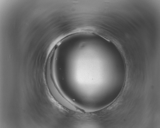 X0000077360960200610271851