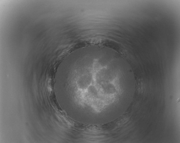 X0000077360962200610271850