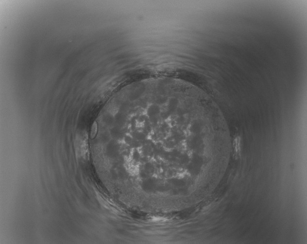 X0000077360963200610271850