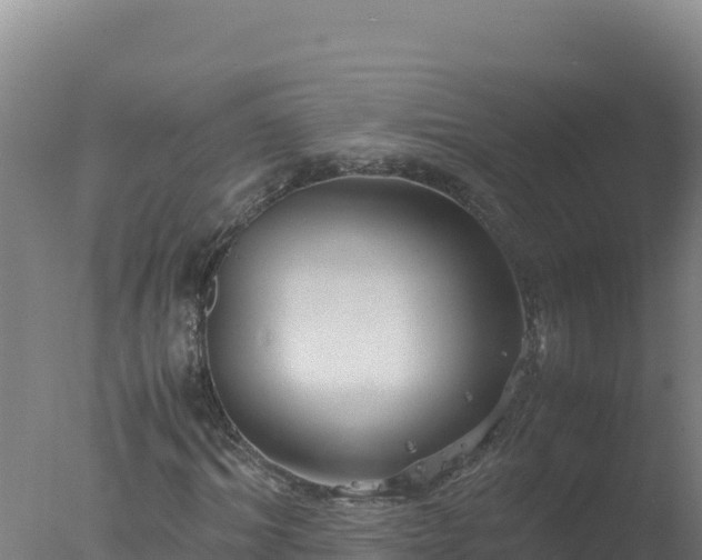 X0000077360964200610271850