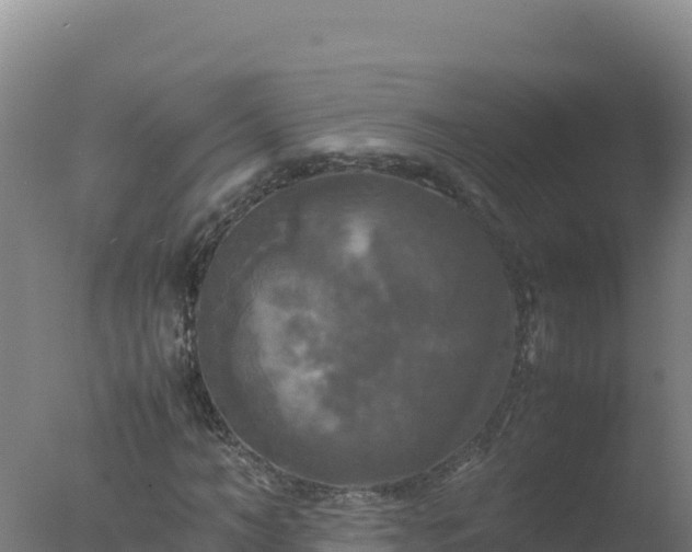 X0000077360966200610271850