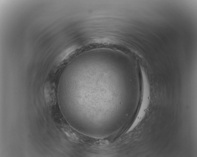 X0000077360968200610271850