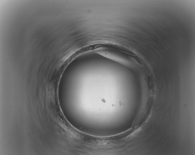 X0000077360969200610271850