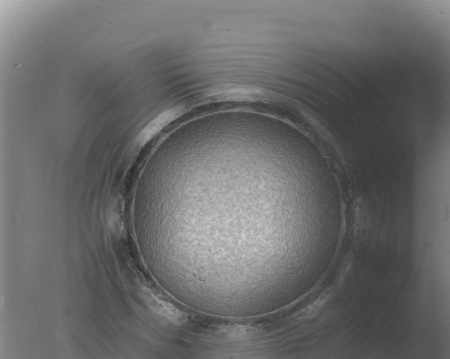 X0000077360970200610271850