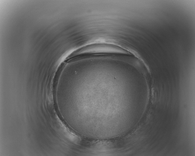 X0000077360972200610271850