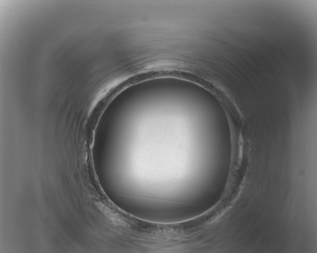 X0000077360973200610271850