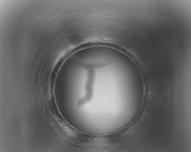 X0000077360974200610271850