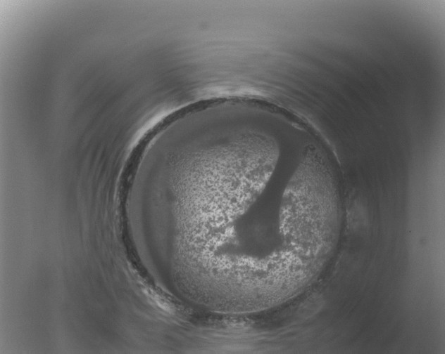 X0000077360975200610271850