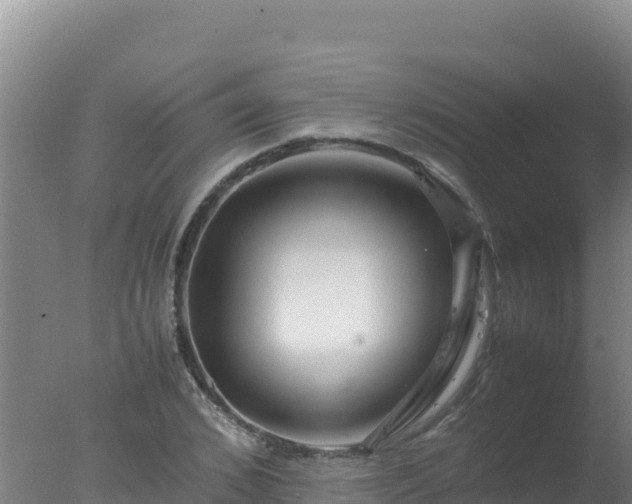 X0000077360976200610271850