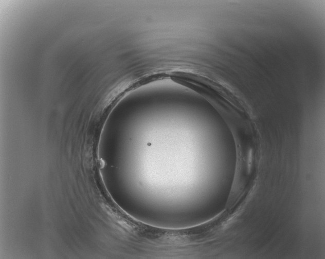 X0000077360977200610271850