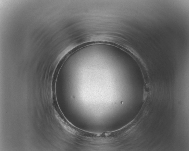 X0000077360980200610271850