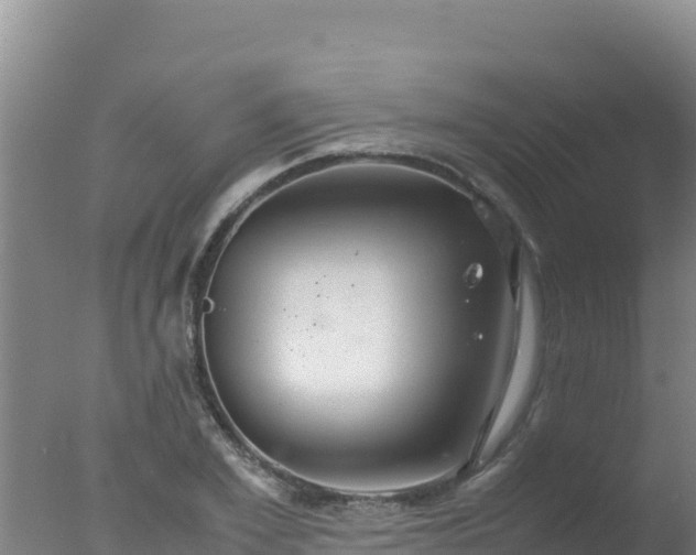 X0000077360981200610271850