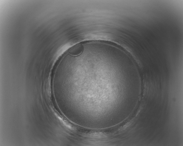 X0000077360982200610271850