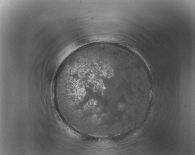 X0000077360983200610271850