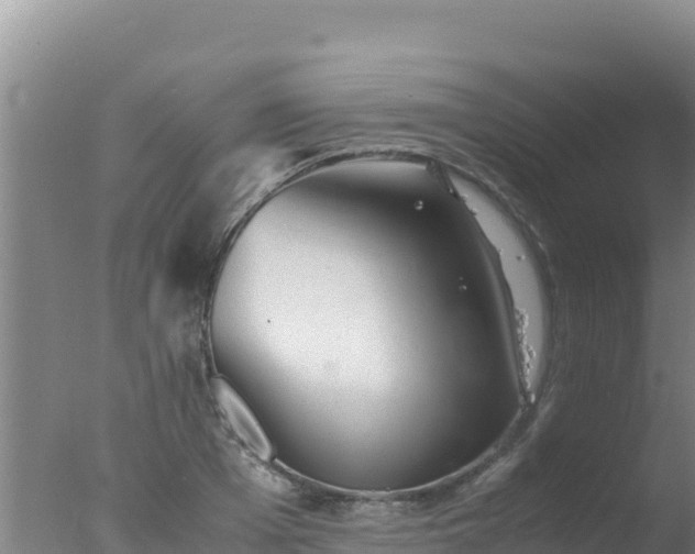 X0000077360985200610271849