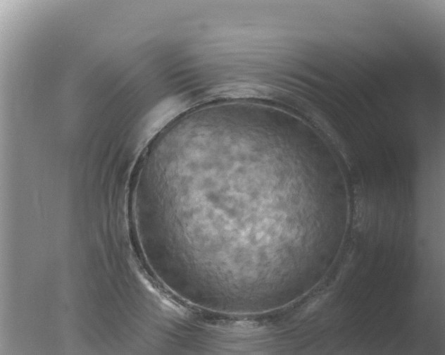 X0000077360986200610271849