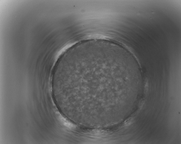 X0000077360987200610271849