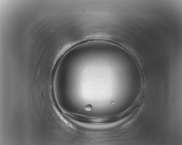 X0000077360989200610271849