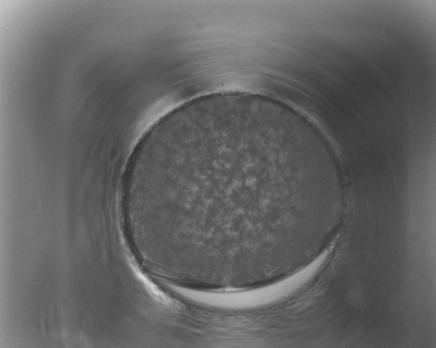 X0000077360991200610271849