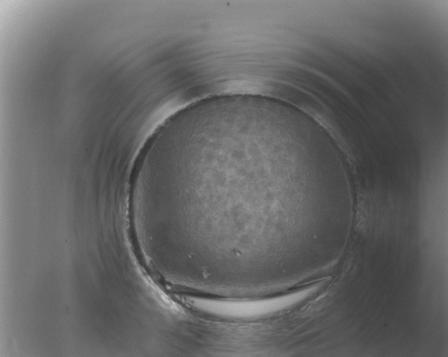 X0000077360992200610271849