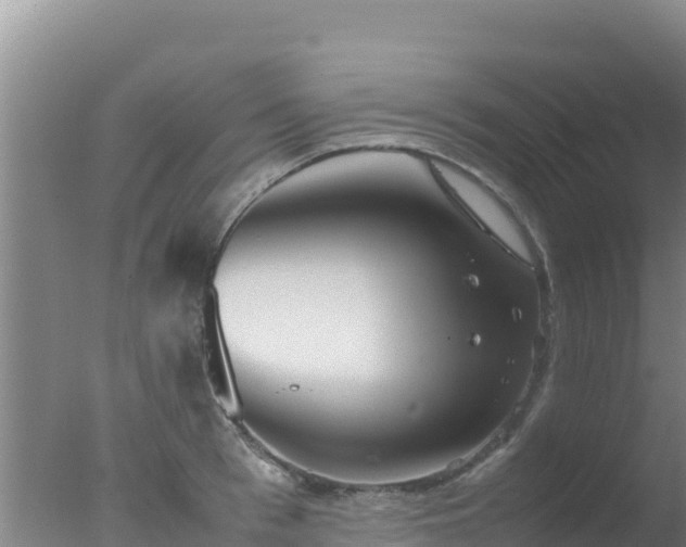 X0000077360993200610271849