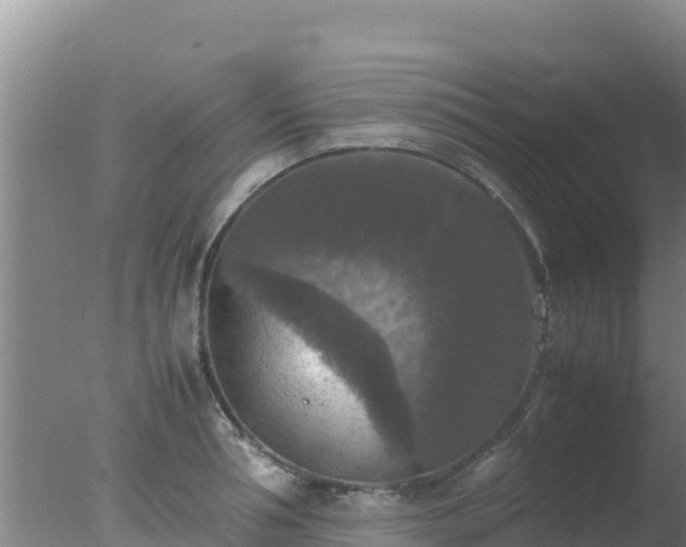 X0000077360994200610271849