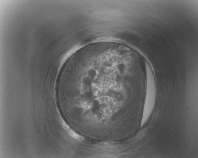 X0000077360995200610271849