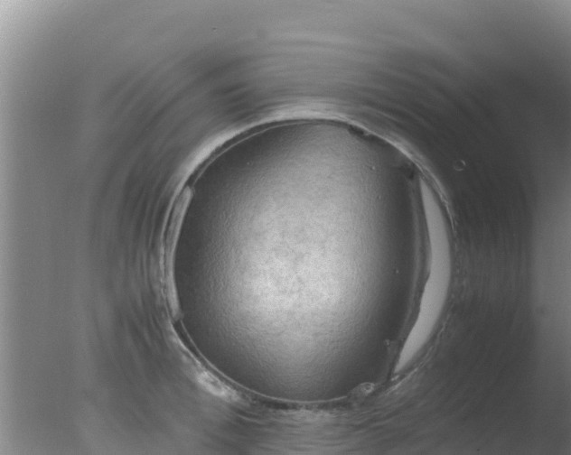 X0000077360996200610271849